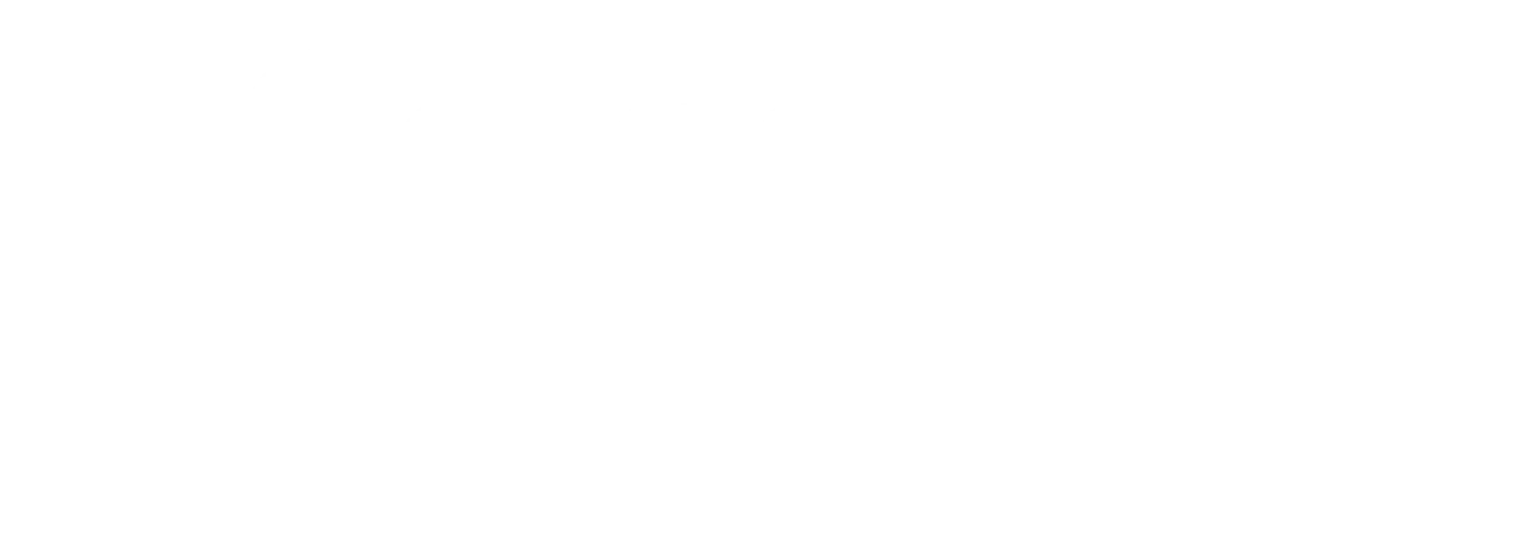 Shopify Partner